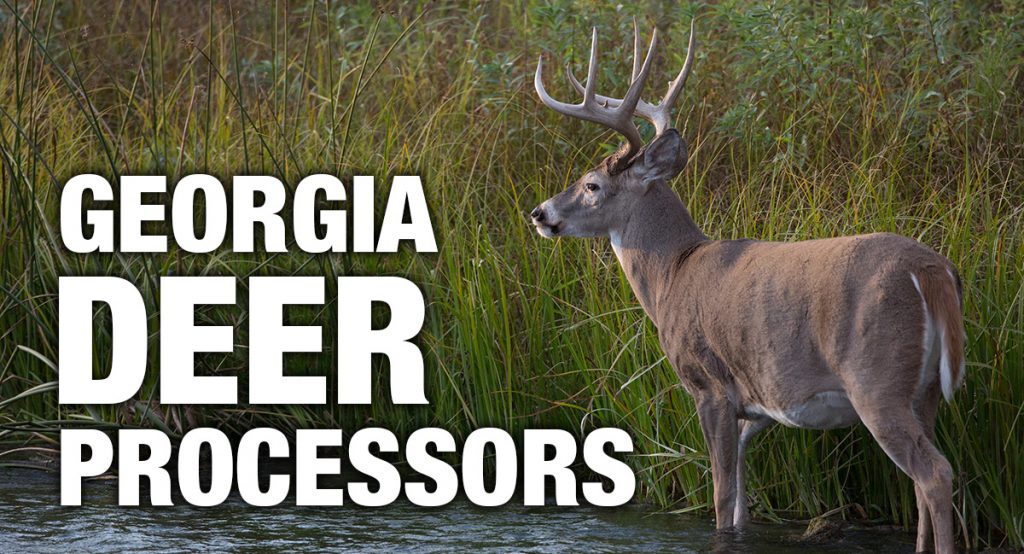 Large image of a nice buck in a field with the text Georgia Deer Processors on it.