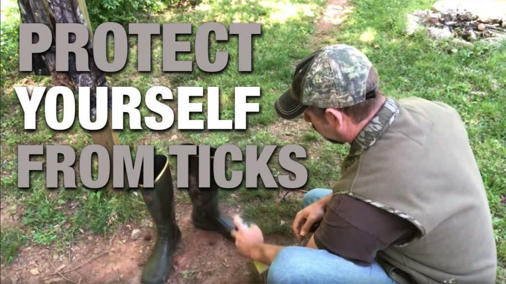 How To Protect Yourself From Ticks This Spring