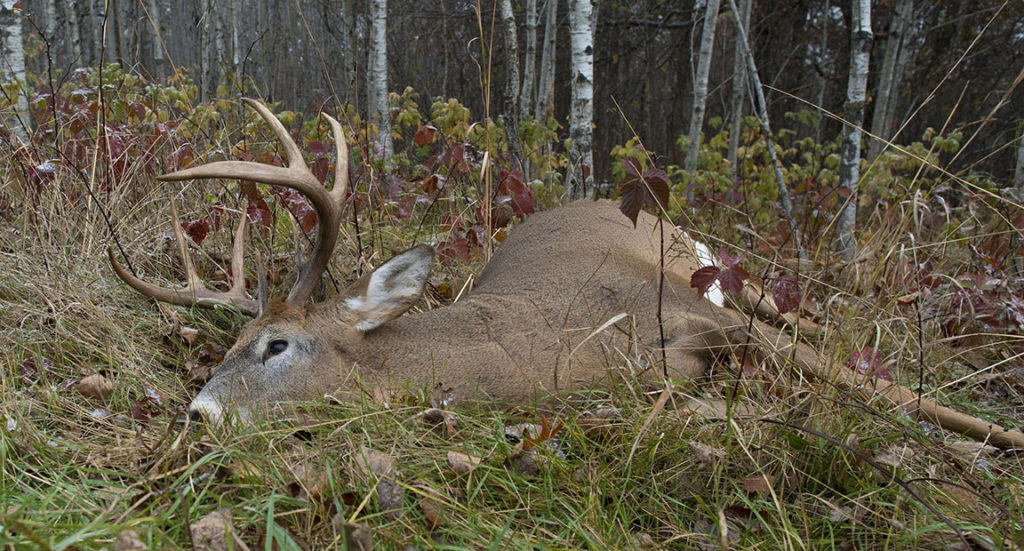 20222023 Louisiana Deer Season Dates