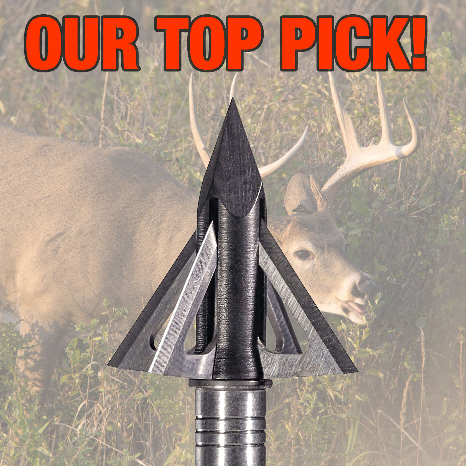 Photo of our pick for best fixed blade broadhead, the Slick Trick Magnum.