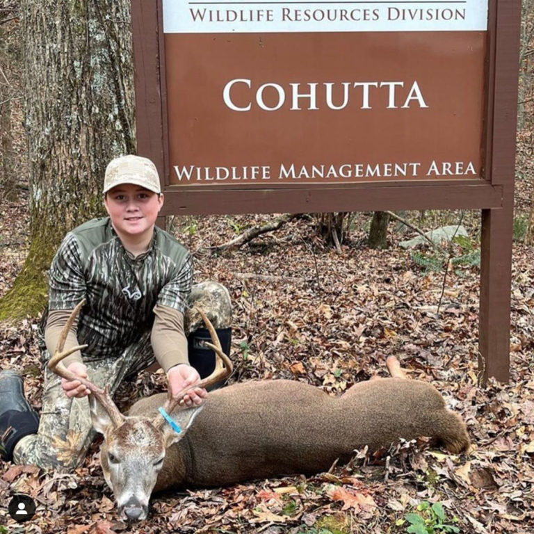 Cohutta WMA: Your Guide to Hunting, Fishing and Camping