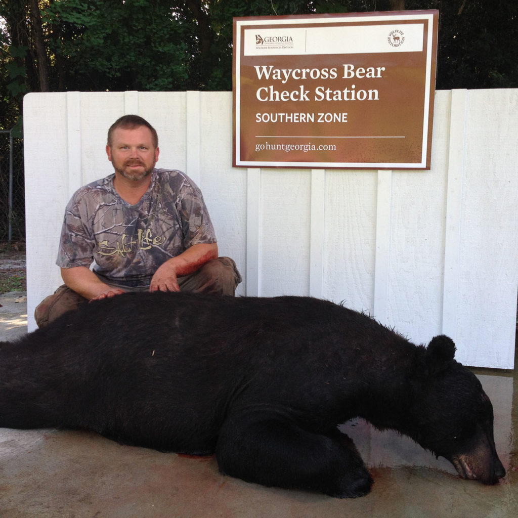 Photo of a large Georgia bear taken in the southern bear zone.