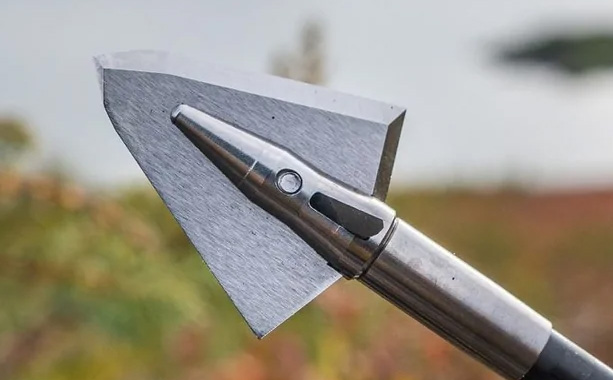 Photo of an Iron Will single bevel broadhead in the field.
