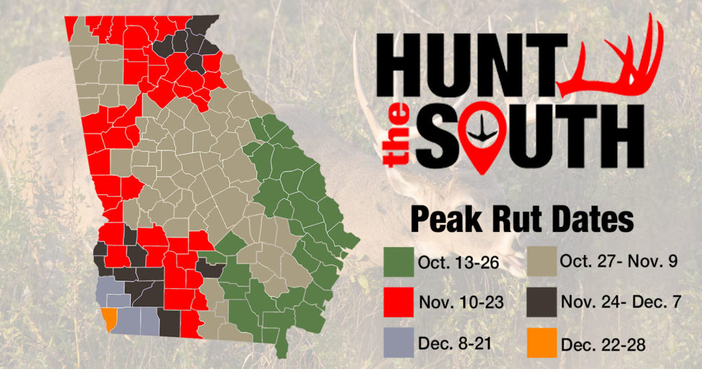 Hunt the South